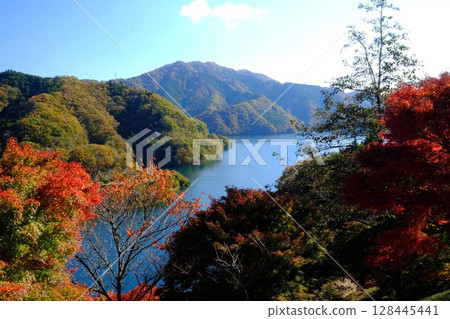 秋天的宮瀨湖[相模原市築井市，11月] 128445441