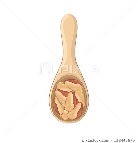Illustration of Bean on a spoon 128445670