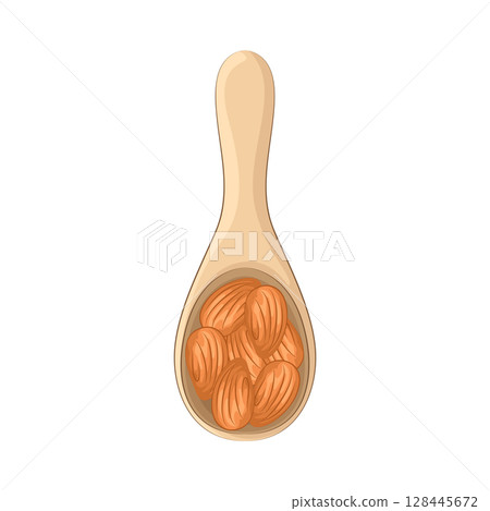 Illustration of almond nut on a spoon 128445672