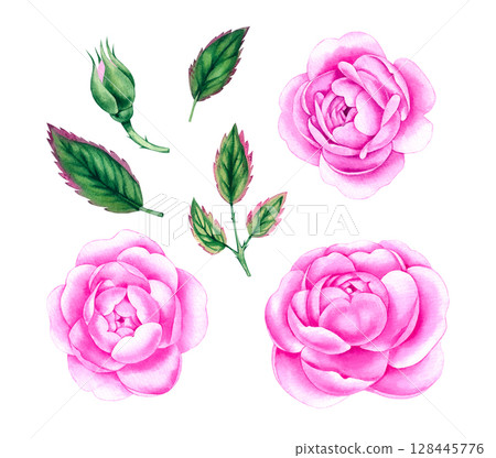 Garden watercolor cottage hand drawn collection 128445776