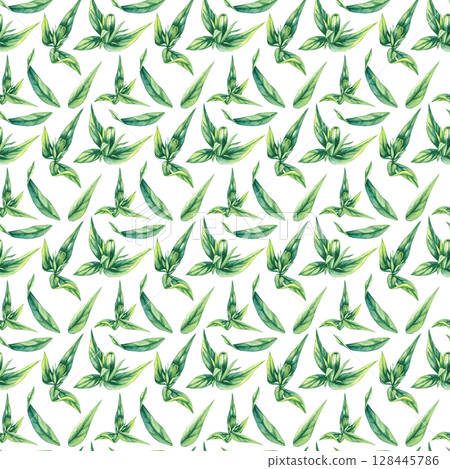 Chicory Watercolor Plant Collection Hand Drawn 128445786