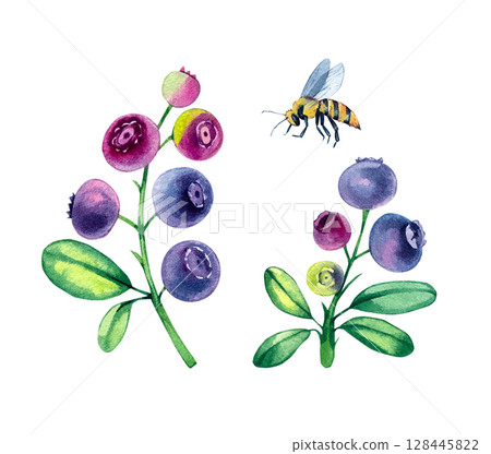 Garden watercolor cottage hand drawn collection 128445822