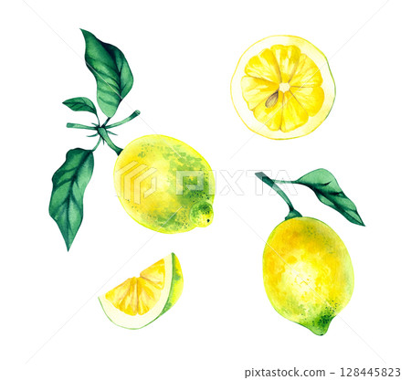 Garden watercolor cottage hand drawn collection 128445823