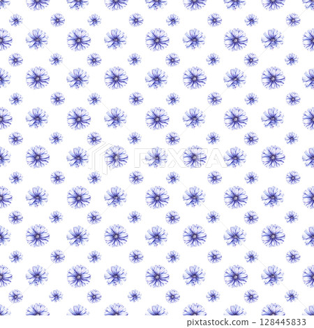 Chicory Watercolor Plant Collection Hand Drawn 128445833