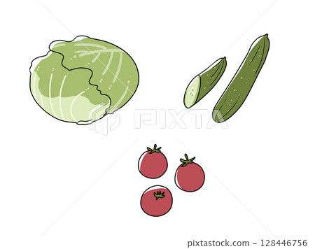 Set illustration of lettuce, tomato and cucumber 128446756