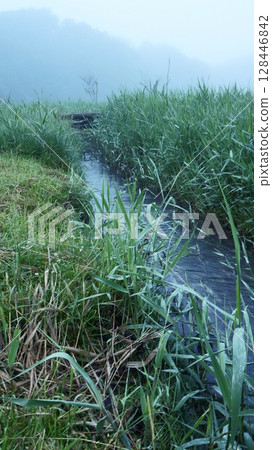 霧氣瀰漫的湯之湖 128446842