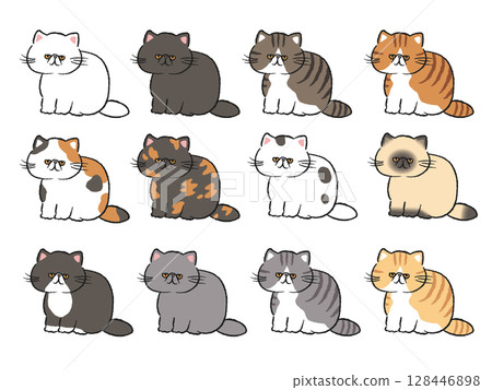 Exotic Shorthair with various patterns/Illustration set Exotic Shorthair with various patterns/Illustration set 128446898