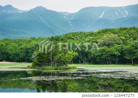 Shiretoko Five Lakes - Two Lakes Scenery 128447275