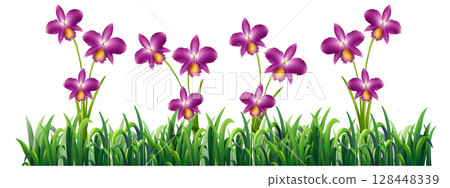 Vibrant Orchid Flowers in Lush Greenery 128448339