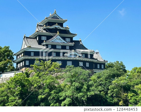 Okayama Castle 128448453