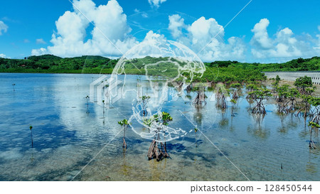 Global environment image SDGs Sustainable 128450544