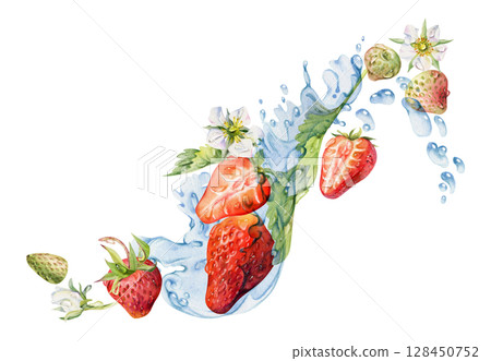 Strawberry ripe garden berries flying in water splash leaves flowers, wet moist dew drops, fresh pineberry strasberry snakeberry. Isolated illustration hand drawn in watercolor. Drink, grocery package 128450752