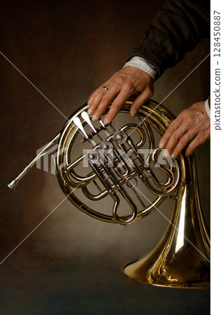 french horn an ancient musical metal instrument popular in classical brass music an instrument beloved by children and adults, amateurs and professionals french horn an ancient musical metal instrument popular in classical brass music an instrument beloved by children and adults, amateurs and professionals 128450887