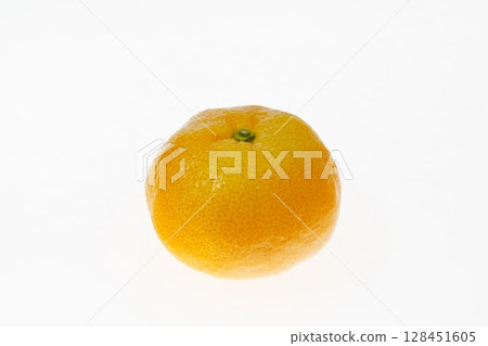 伊良湖橘子,產於愛知縣 伊良湖橘子,產於愛知縣 128451605