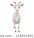 Watercolor illustration of a white goat with horns, handed manually on a white background. Homemade farm animal. Suitable for postcards, stickers, rustic decor and packaging. 128452445