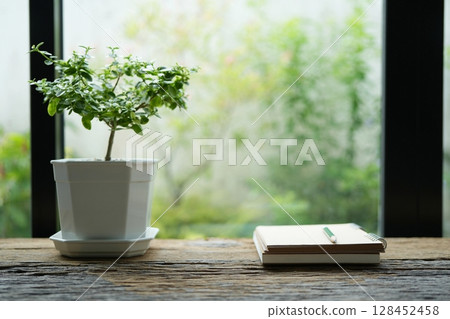 Notebook with pencil and potted plant by the window 128452458