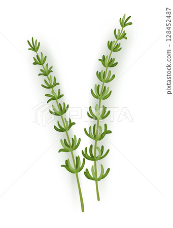 Illustration of two vibrant green plants on a white background 128452487