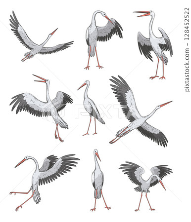 Crane bird set in realistic style, high quality detail. Vector illustration 128452522