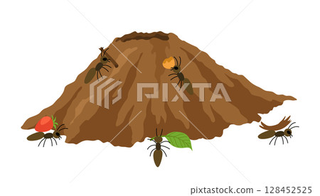 An anthill. Ants in burrows and passages with queen uterus, larvae, make stocks, a slice of the earth of the anthill. Vector drawn illustration. An anthill. Ants in burrows and passages with queen uterus, larvae, make stocks, a slice of the earth of the anthill. Vector drawn illustration. 128452525