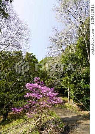 Asuka Village, Amagashi Hill, Promenade Asuka Village, Amagashi Hill, Promenade 128452918