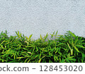 Atmospheric white walls and bamboo 128453020