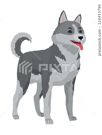 Cute gray wolf pose. Cartoon character of dangerous mammalian animal. Vector flat illustration isolated on white background Cute gray wolf pose. Cartoon character of dangerous mammalian animal. Vector flat illustration isolated on white background 128453794