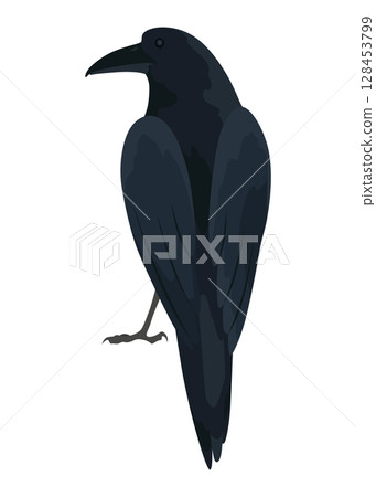 City bird, icon. European colorful bird, winged animal character. Bird isolated on white background. Vector illustration isolated on white background 128453799