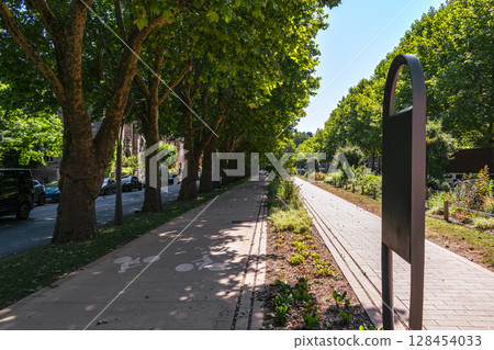 Pedestrian path in the imperial district of Metz near avenue Foch, Moselle, Lorraine, France Pedestrian path in the imperial district of Metz near avenue Foch, Moselle, Lorraine, France 128454033