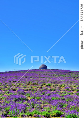 薰衣草山風景 薰衣草山風景 128454786