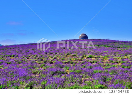 Lavender Hill 128454788