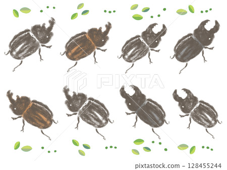 Simple and cute hand-drawn stag beetles and rhinoceros beetles Simple and cute hand-drawn stag beetles and rhinoceros beetles 128455244