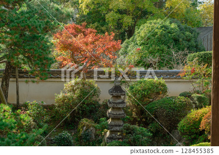 秋葉最盛時節，拍攝奈良郡天理市的鐮口山長岳寺 128455385