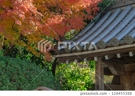 秋葉最盛時節,拍攝奈良郡天理市的鐮口山長岳寺 秋葉最盛時節,拍攝奈良郡天理市的鐮口山長岳寺 128455388