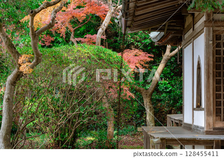 秋葉最盛時節，拍攝奈良郡天理市的鐮口山長岳寺 128455411