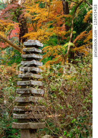 秋葉最盛時節，拍攝奈良郡天理市的鐮口山長岳寺 128455418
