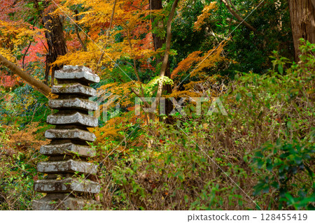 秋葉最盛時節,拍攝奈良郡天理市的鐮口山長岳寺 秋葉最盛時節,拍攝奈良郡天理市的鐮口山長岳寺 128455419