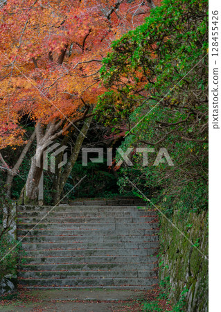 Photographing Kamanokuchiyama Chogakuji Temple in Tenri City, Nara Prefecture, in the height of autumn foliage 128455426