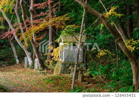 秋葉最盛時節,拍攝奈良郡天理市的鐮口山長岳寺 秋葉最盛時節,拍攝奈良郡天理市的鐮口山長岳寺 128455431
