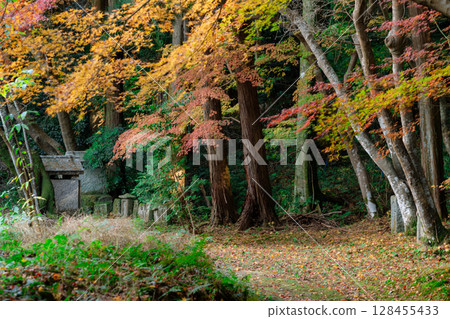 秋葉最盛時節，拍攝奈良郡天理市的鐮口山長岳寺 128455433