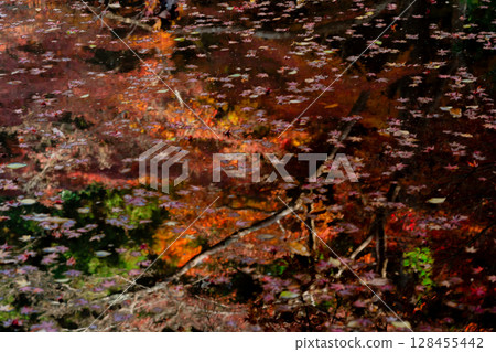 秋葉最盛時節，拍攝奈良郡天理市的鐮口山長岳寺 128455442