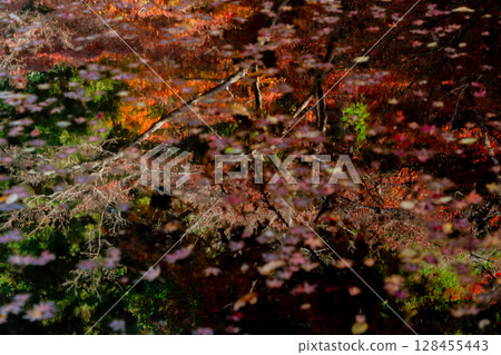 秋葉最盛時節,拍攝奈良郡天理市的鐮口山長岳寺 秋葉最盛時節,拍攝奈良郡天理市的鐮口山長岳寺 128455443