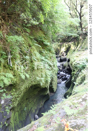 宮崎縣高千穗峽谷 128455607