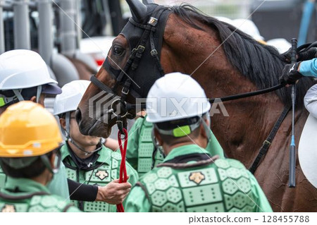 Scene from a horse racing track: Horses entering the gate, Fukushima City, Fukushima Prefecture Scene from a horse racing track: Horses entering the gate, Fukushima City, Fukushima Prefecture 128455788