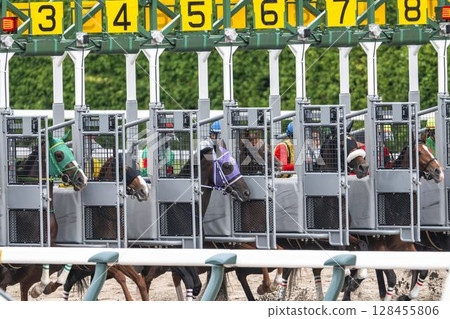 賽馬場風景 福島縣福島市入口 賽馬場風景 福島縣福島市入口 128455806