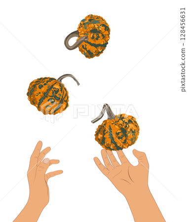 Hands juggling small cute gourds. Thanksgiving or Halloween concept. Vector isolated illustration 128456631