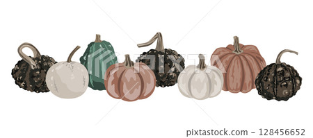 Pumpkins border garland composition isolated on white. Cozy small gourds autumn decoration. Vector squash set illustration. 128456652