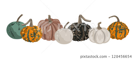 Pumpkins border garland composition isolated on white. Cozy small gourds autumn decoration. Vector squash set illustration. Pumpkins border garland composition isolated on white. Cozy small gourds autumn decoration. Vector squash set illustration. 128456654