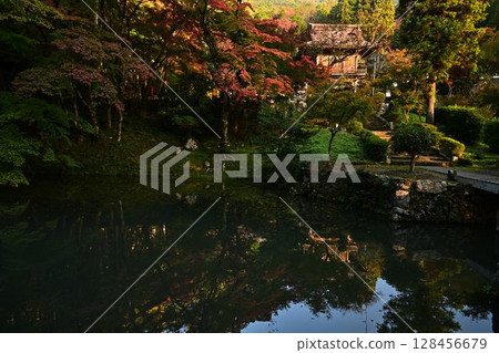 秋葉在池塘反射了 秋葉在池塘反射了 128456679