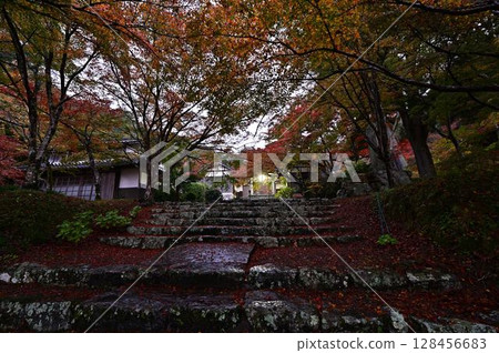 圓通寺的秋葉 圓通寺的秋葉 128456683