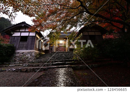 Autumn leaves at Entsuji Temple 128456685